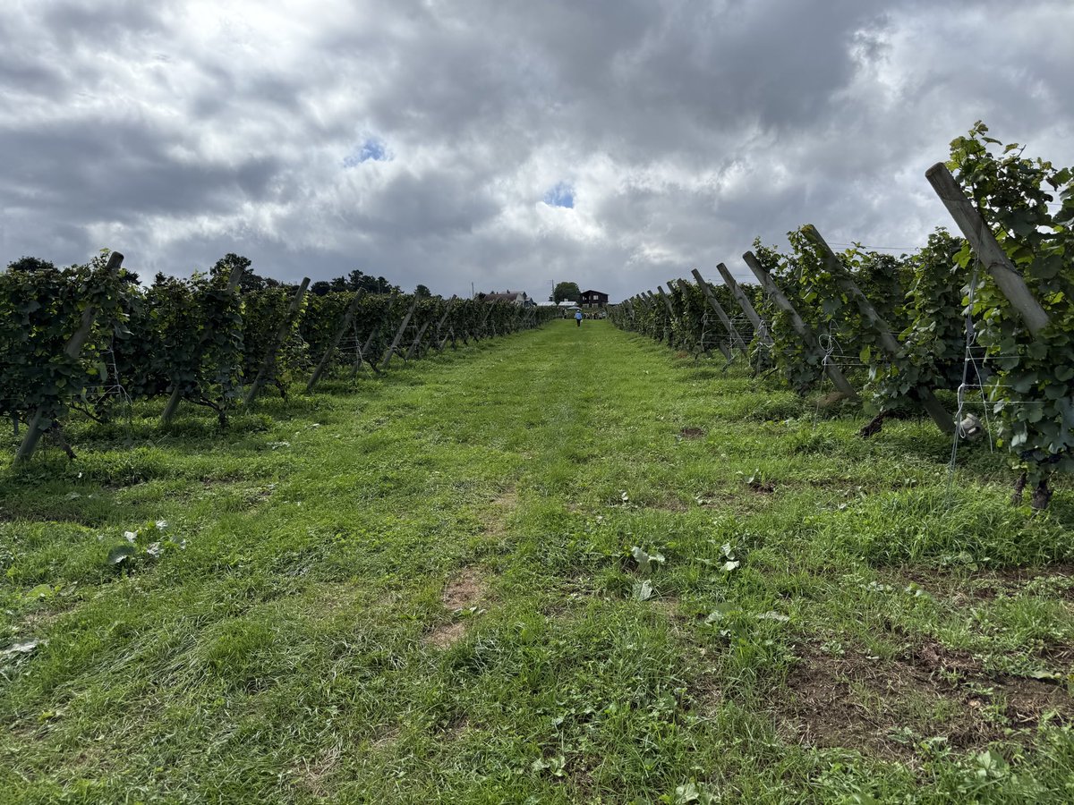 daihobby's tweet image. しばらくです。思うことがあって、SNSからは離れてました。その間個人ごとですが、苦しかったです。SNSも全く見る気が起きませんでした。

でもその間も心配してくれる方のDMや直接の声なども聞きました。

続く。