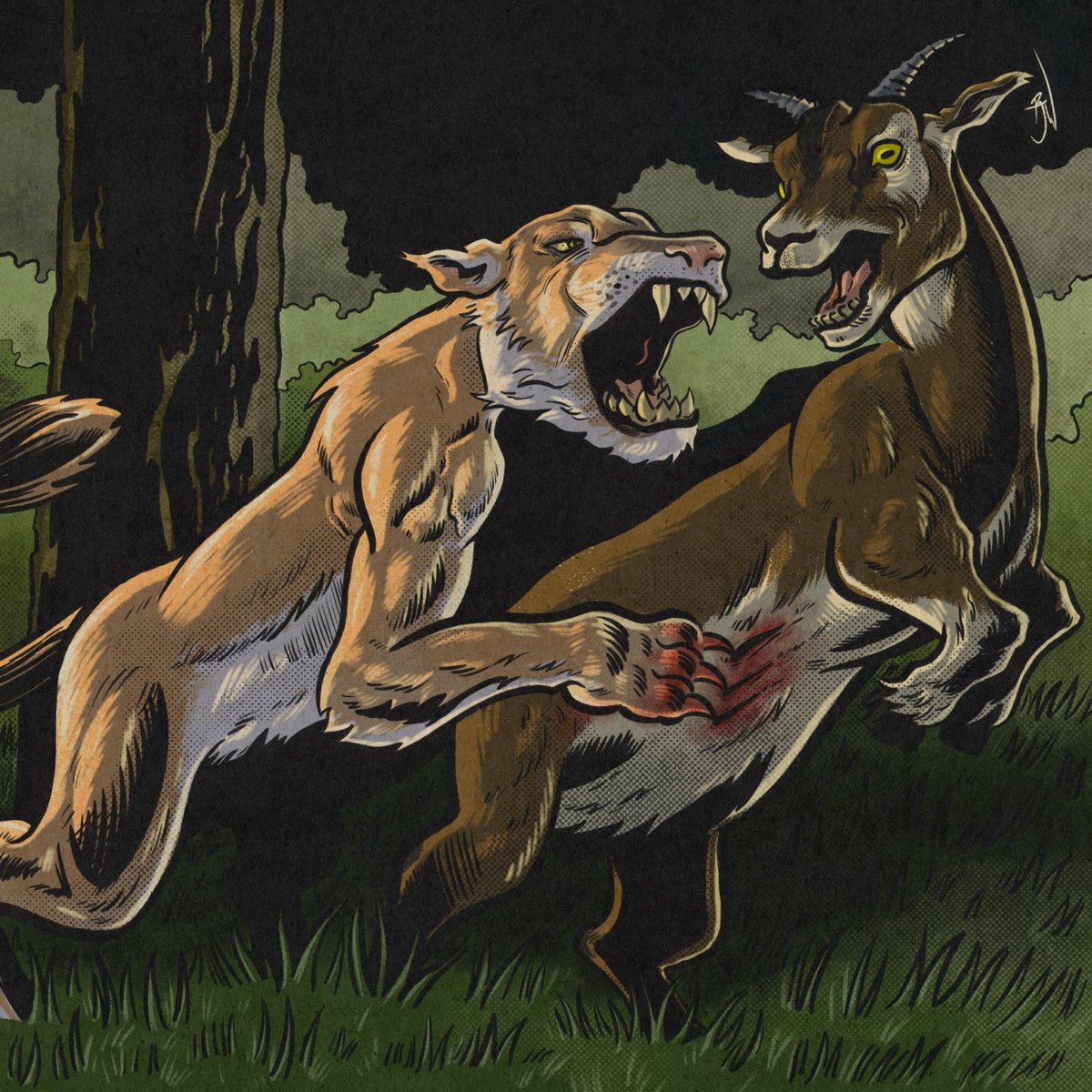 Robert Jacob Woodard tweet media