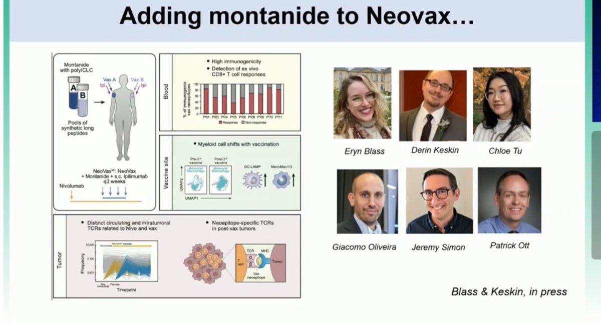 DaniCastilloMD's tweet photo. Personalized cancer vaccines on horizon # esmo #Oncol ogygreatvralk from Dr. Catherine Wu ,clinical signals are emerging,even in PDCA and RCC. However manufacturing complexity, patients selection, tumor type, immune response not = clinical venifits . GI cancers: PCV may need additional combination?