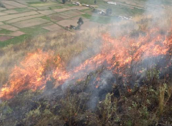 Cusco: personal de la Municipalidad Distrital de San Pedro y pobladores trabajan en control y extinción del #IncendioForestal que se registra desde el 18/10 en la comunidad Ccocha Qquea. Fuego consume cobertura natural y se mantiene activo.