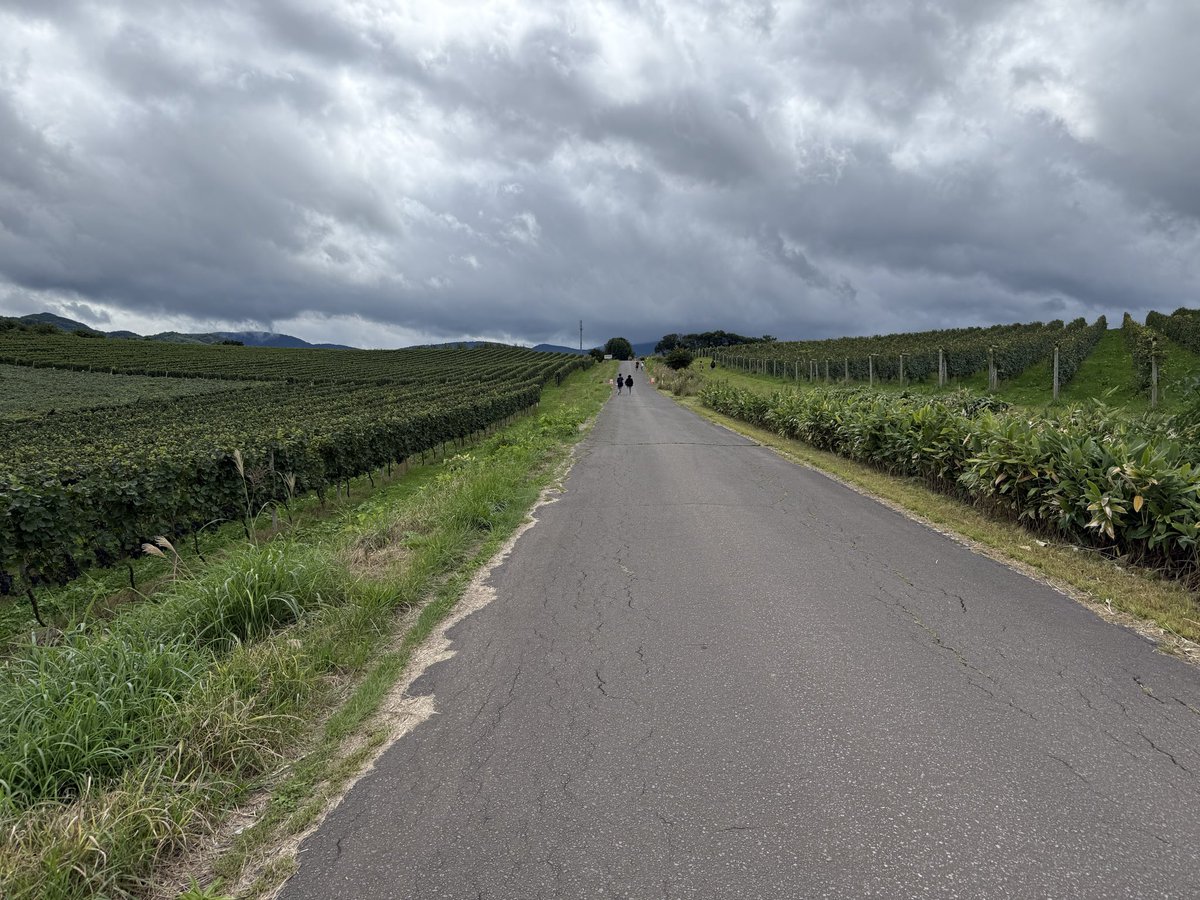 daihobby's tweet image. 興味本位で始めたSNSから広がり、苦しい時も気ににしてくださる方がいる、私の人生は美しくも少し思いました。それはいい面、悪い瞬間もありましたが、私は少なくとも感謝する気持ちもありました。

生存報告ではないですが、また再開。継続する分かりませんが、興味があればご覧下さい。しらんけど。