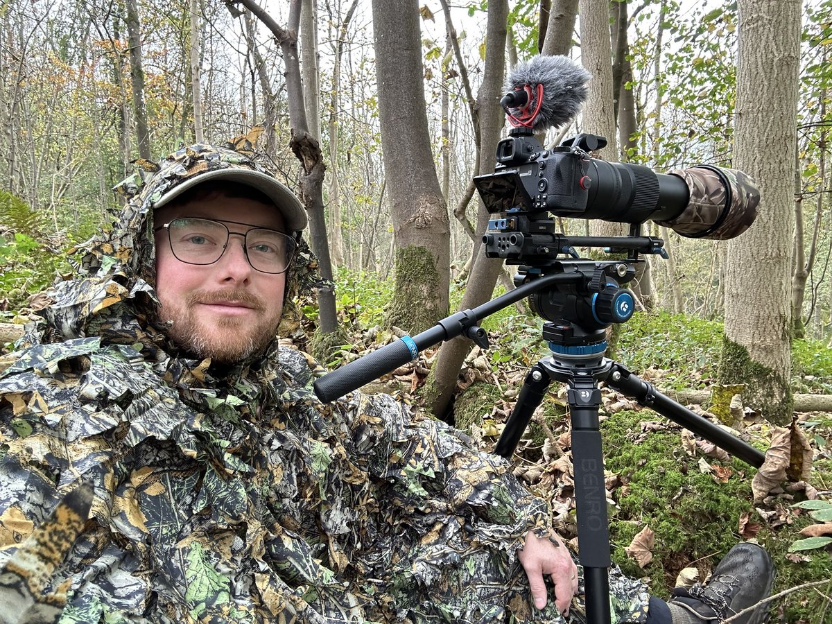 Daniel Toal tweet media