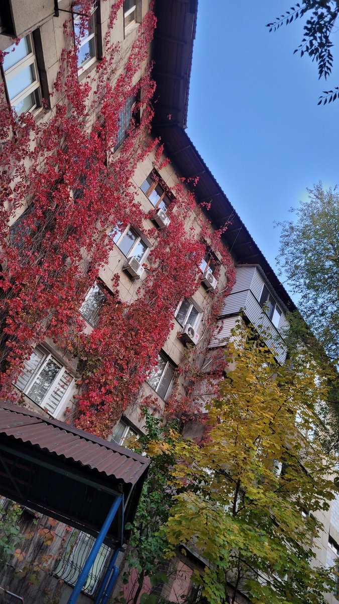 Где-то в Алмате