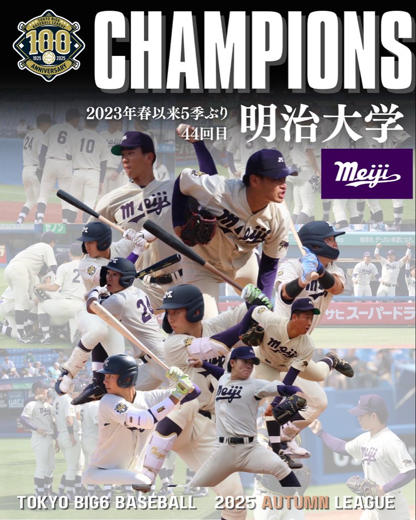 6大学野球連盟会員バッジ。 一般財団法人 東京六大学野球連盟