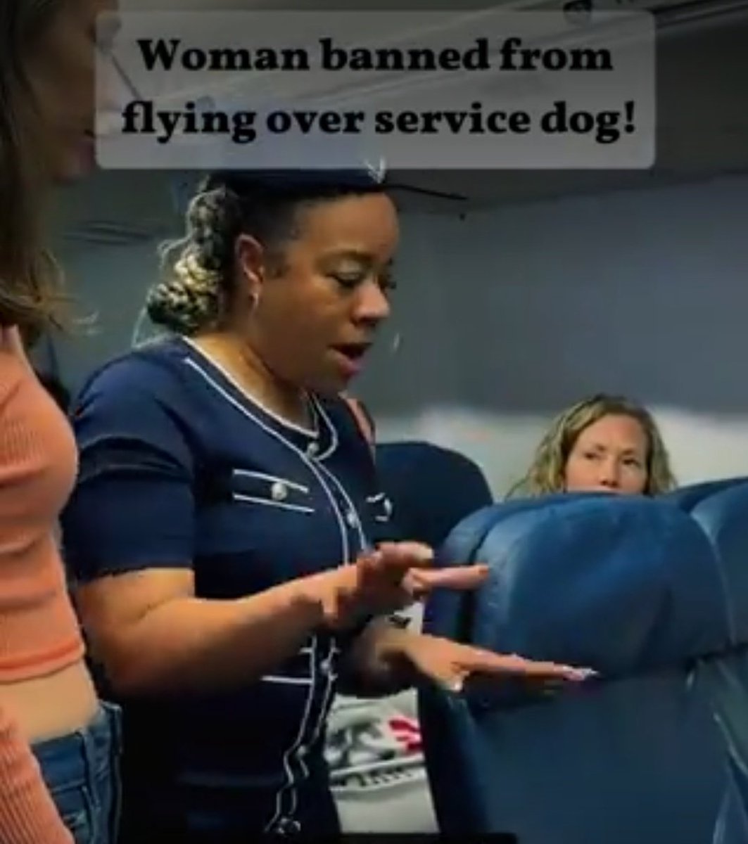 Brick_Suit's tweet photo. @kevinblue345 This is a fake skit. You can tell by the actress who has been in many of these skits. Posting this for engagement without revealing it is a skit is a dubious practice. https://t.co/m7jrRqkXba