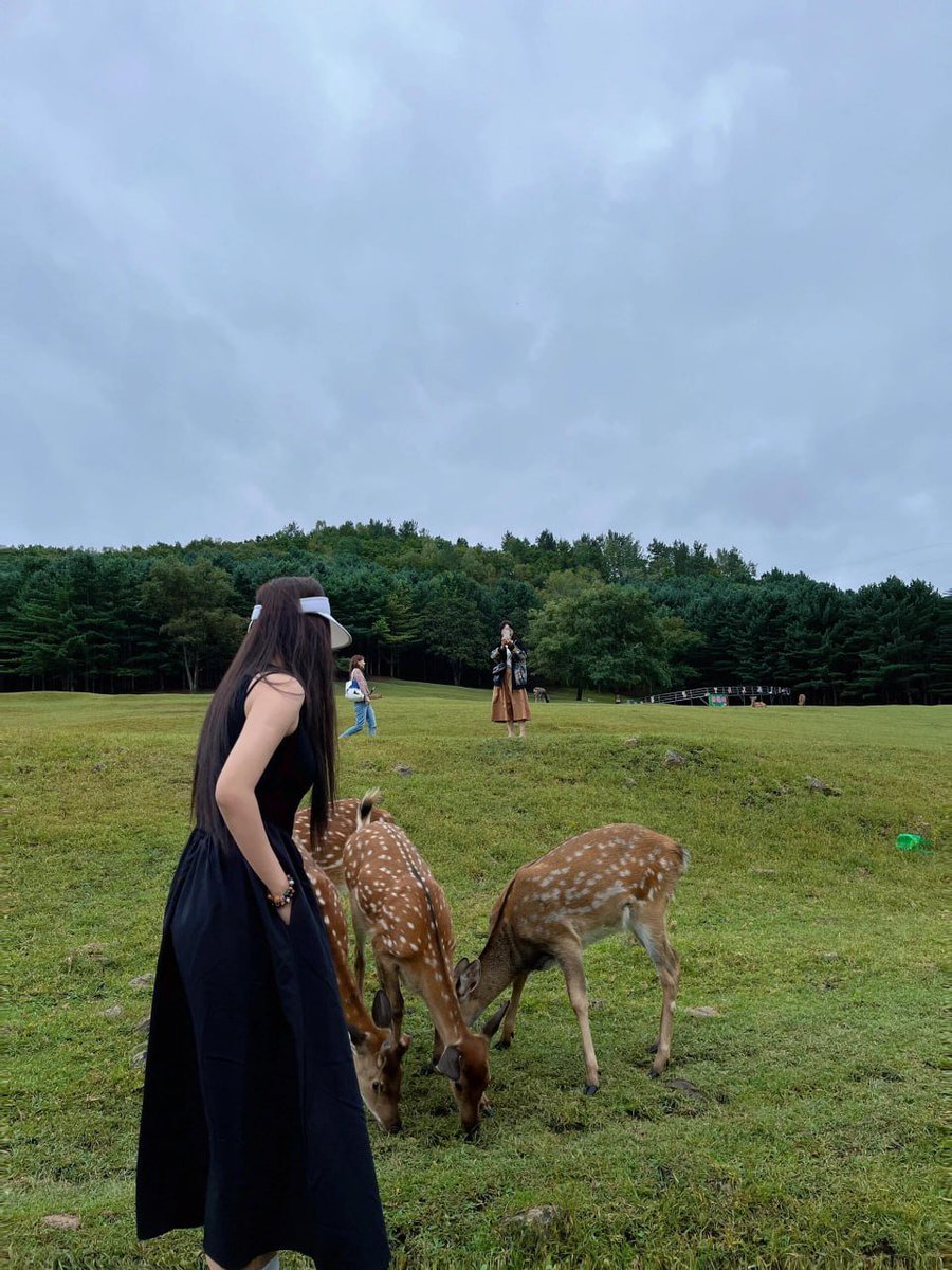 _Isabelle_o's tweet image. Making new friends in nature’s peaceful paradise 😉