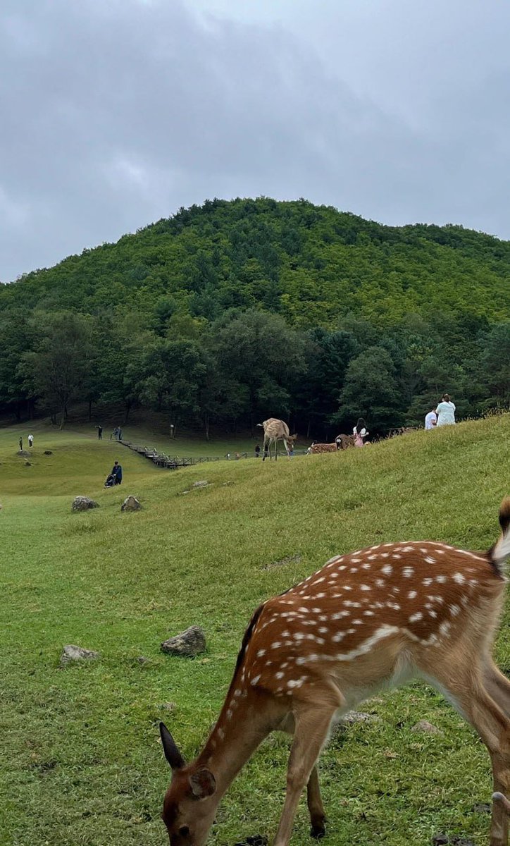 _Isabelle_o's tweet image. Making new friends in nature’s peaceful paradise 😉