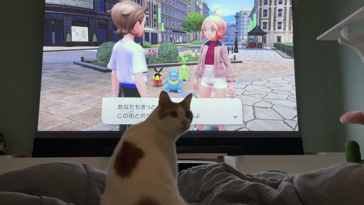 やっぱし買ってもーた😹