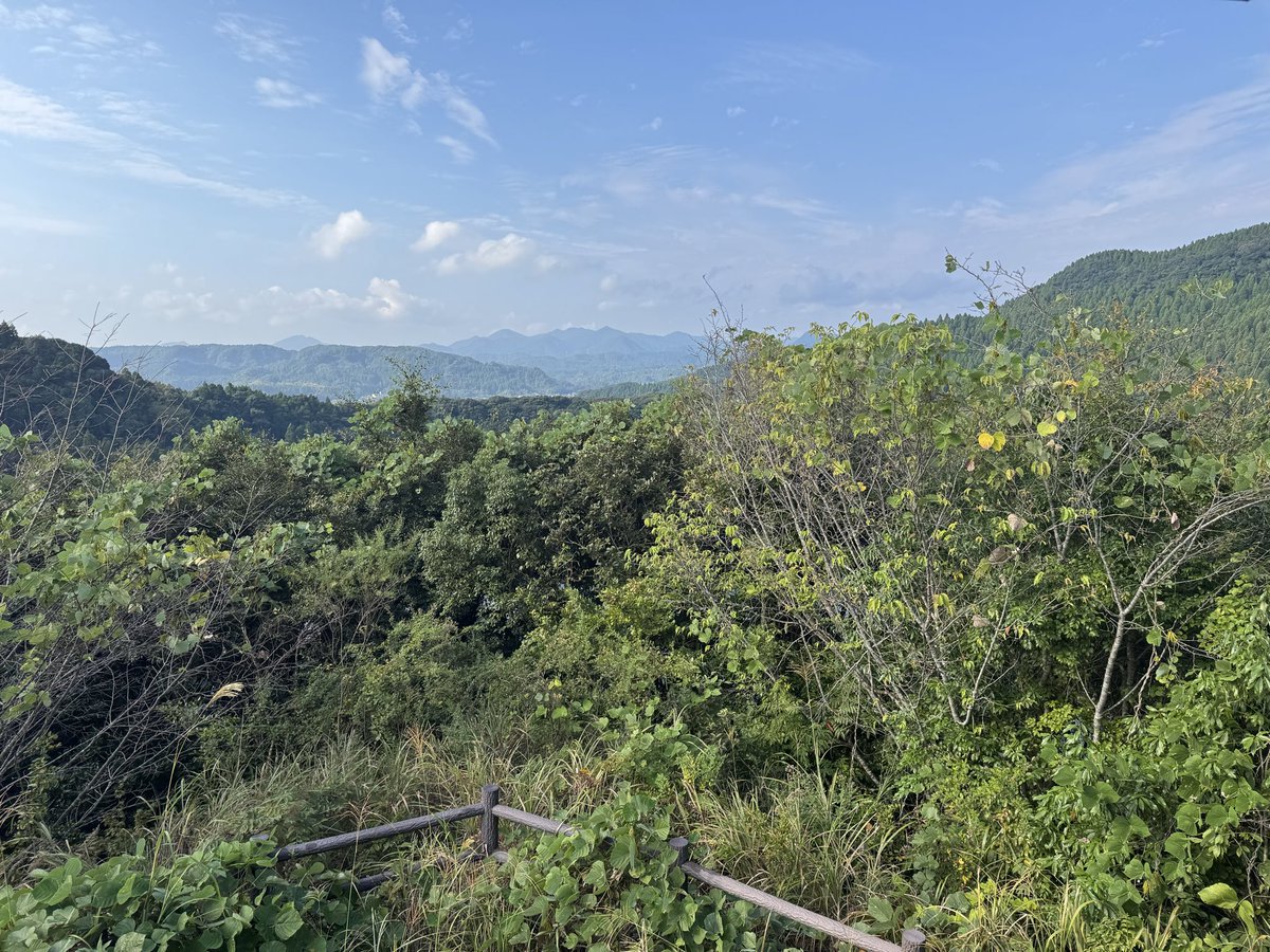 展望台から池が〜😌……………😨