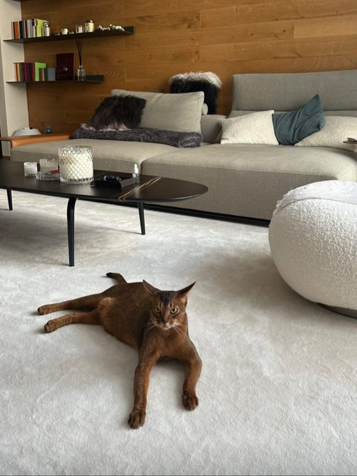 it doesn't feel right, change it