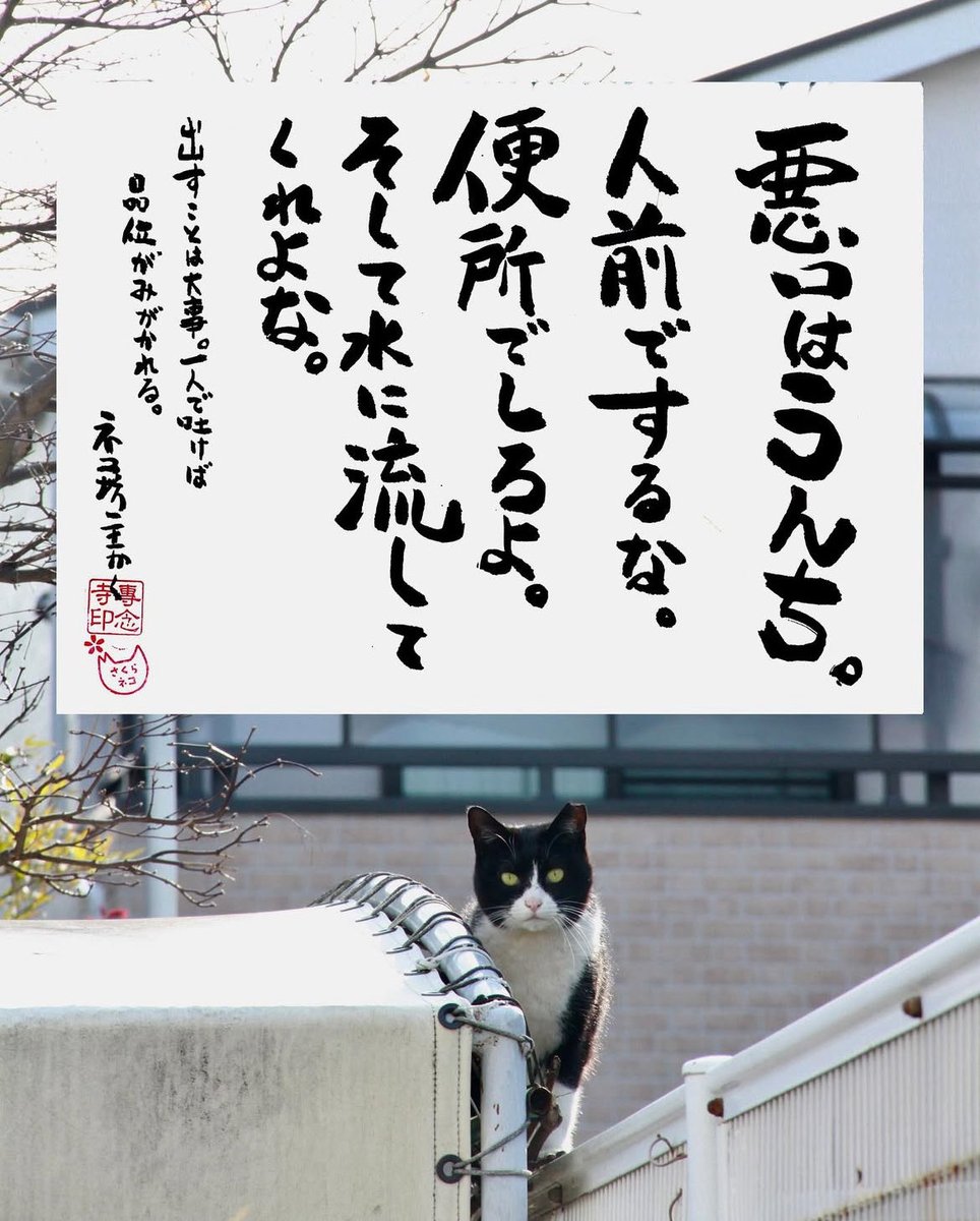 あけちゃん (@bSzo8PASTMklgAo) / Posts / X