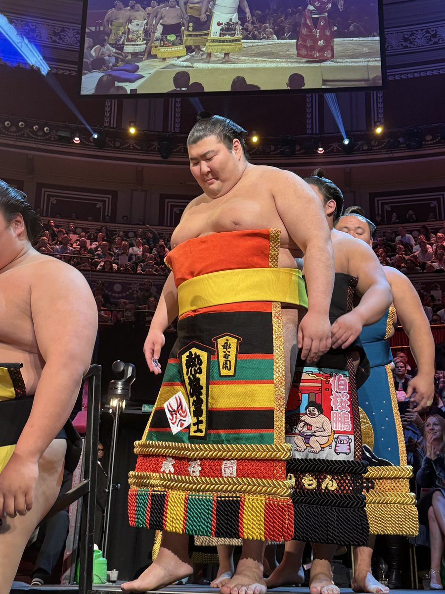 激レア　ご当地キティ　大相撲バージョン(永谷園) イギリスの方々にも 新鮮に見えるみたいです 永谷園特製の化粧まわし