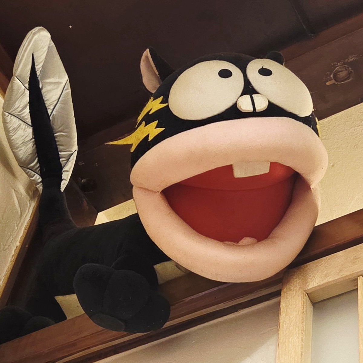 うなぎいぬ うなぎいぬ 確認用 - メルカリ