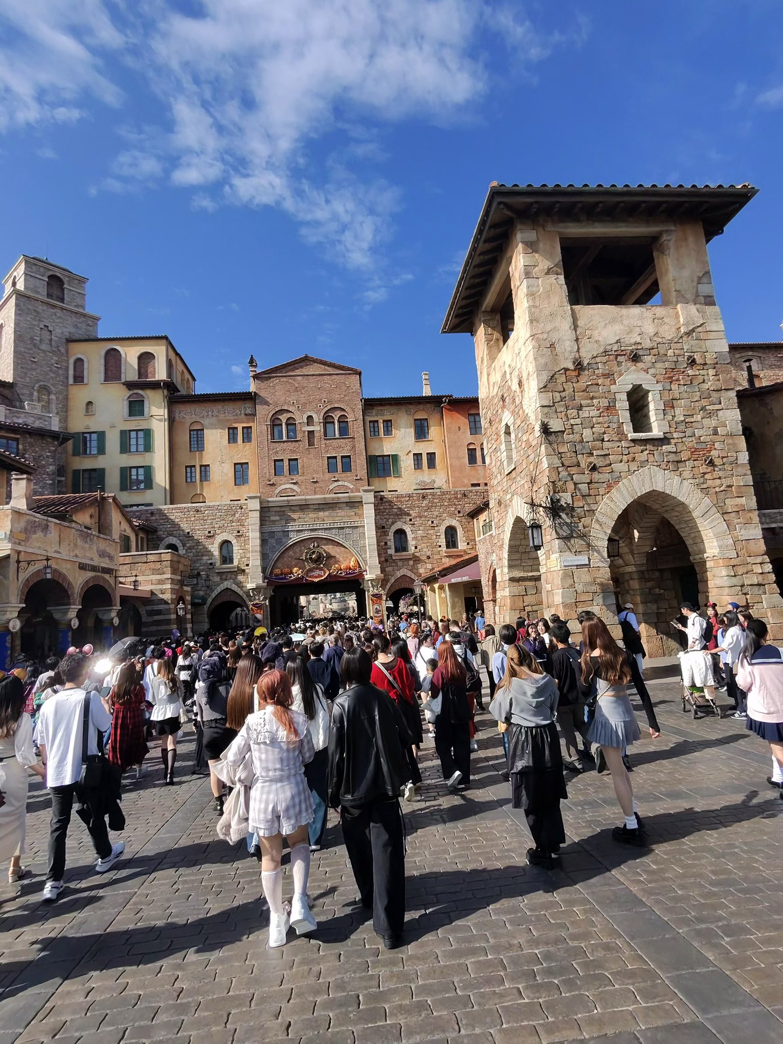 【ディズニー大学社員センター】　限定　ランヤード　貴重 ディズニー大学社員センター】 限定 ランヤード 貴重