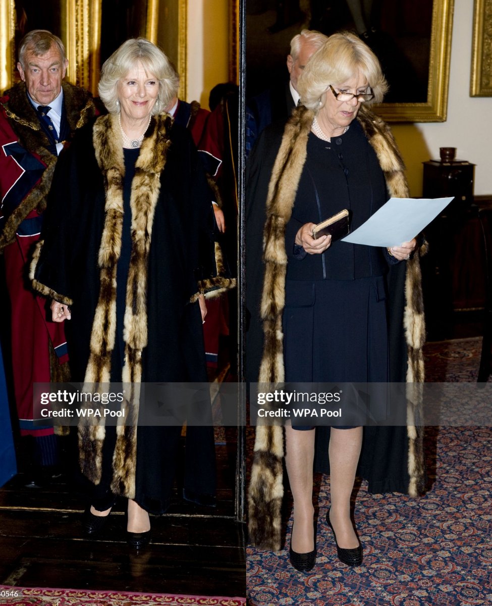 no context queen camilla tweet media