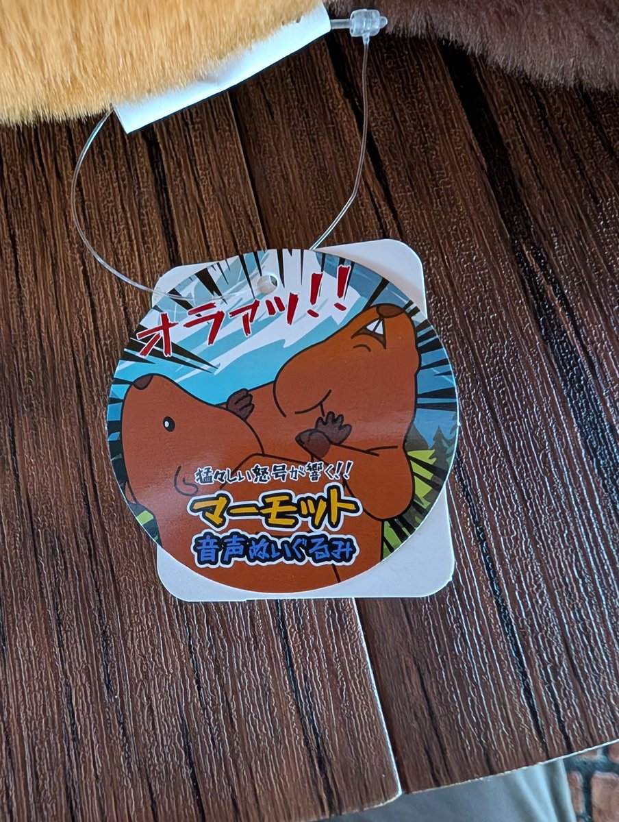 お土産がまた出来た笑
コイツも叫ぶらしい