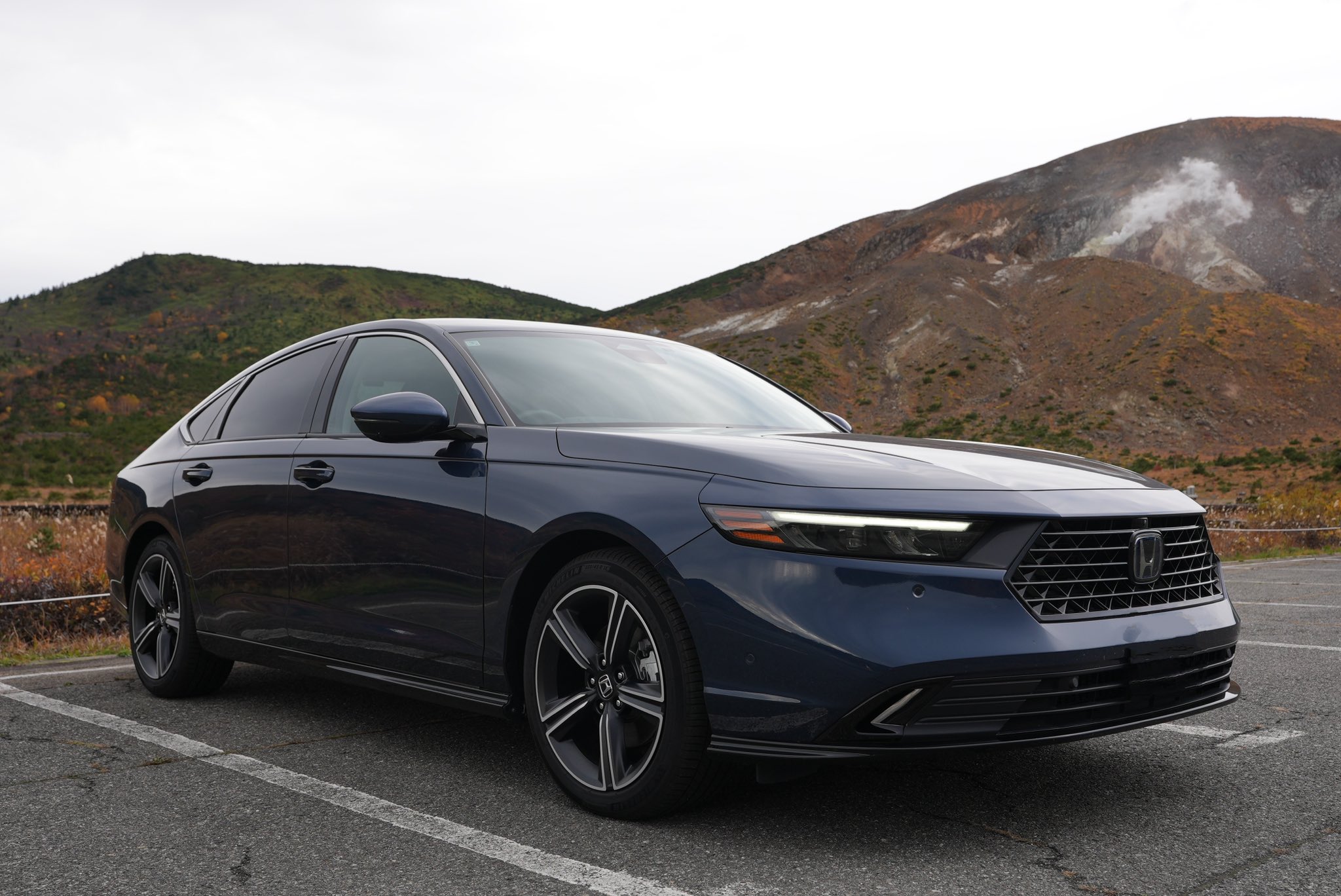 むーさんです _a9oti6otlt_blob_copy_Bfe4WncF