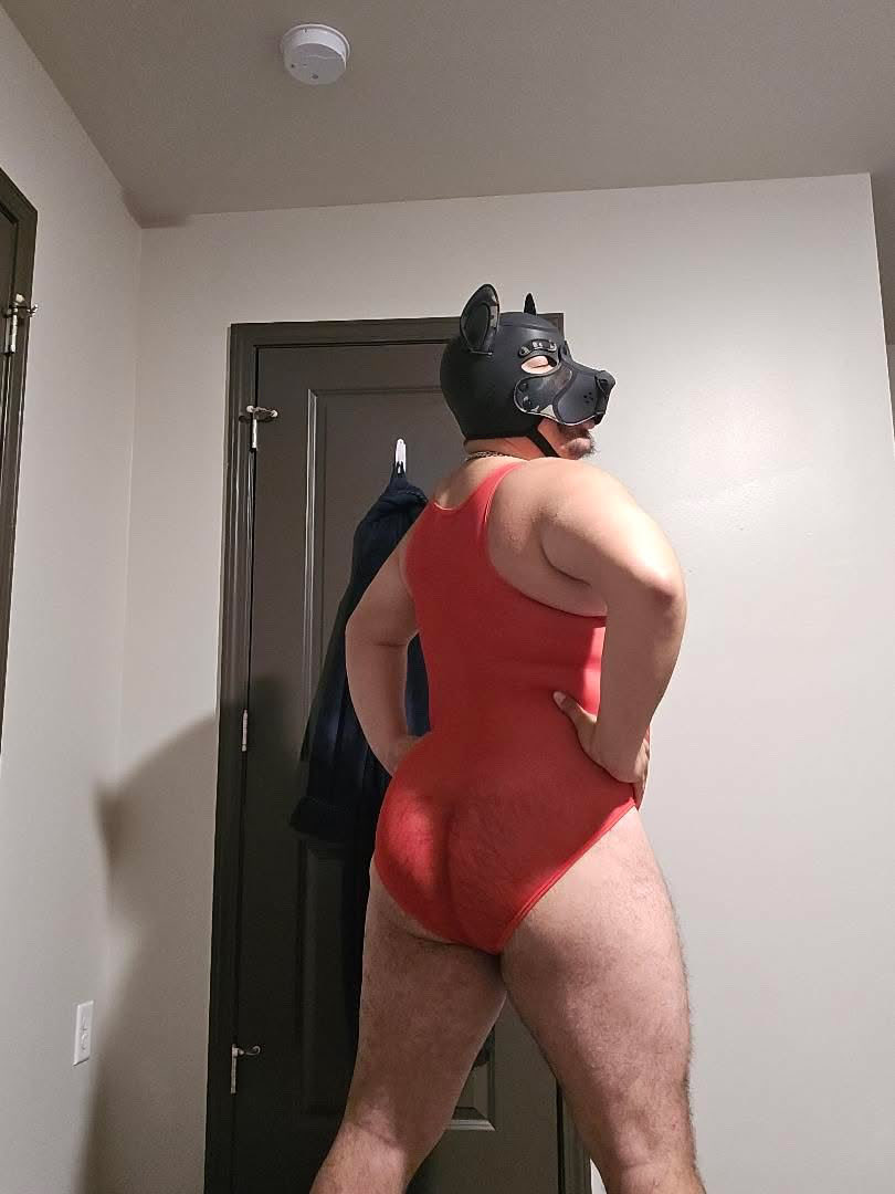 Sinner Rouge Sheer Bodysuit 

Worn by <a href="/bearminimum1010/">Pup Bard</a>  

Sinnerwear.co