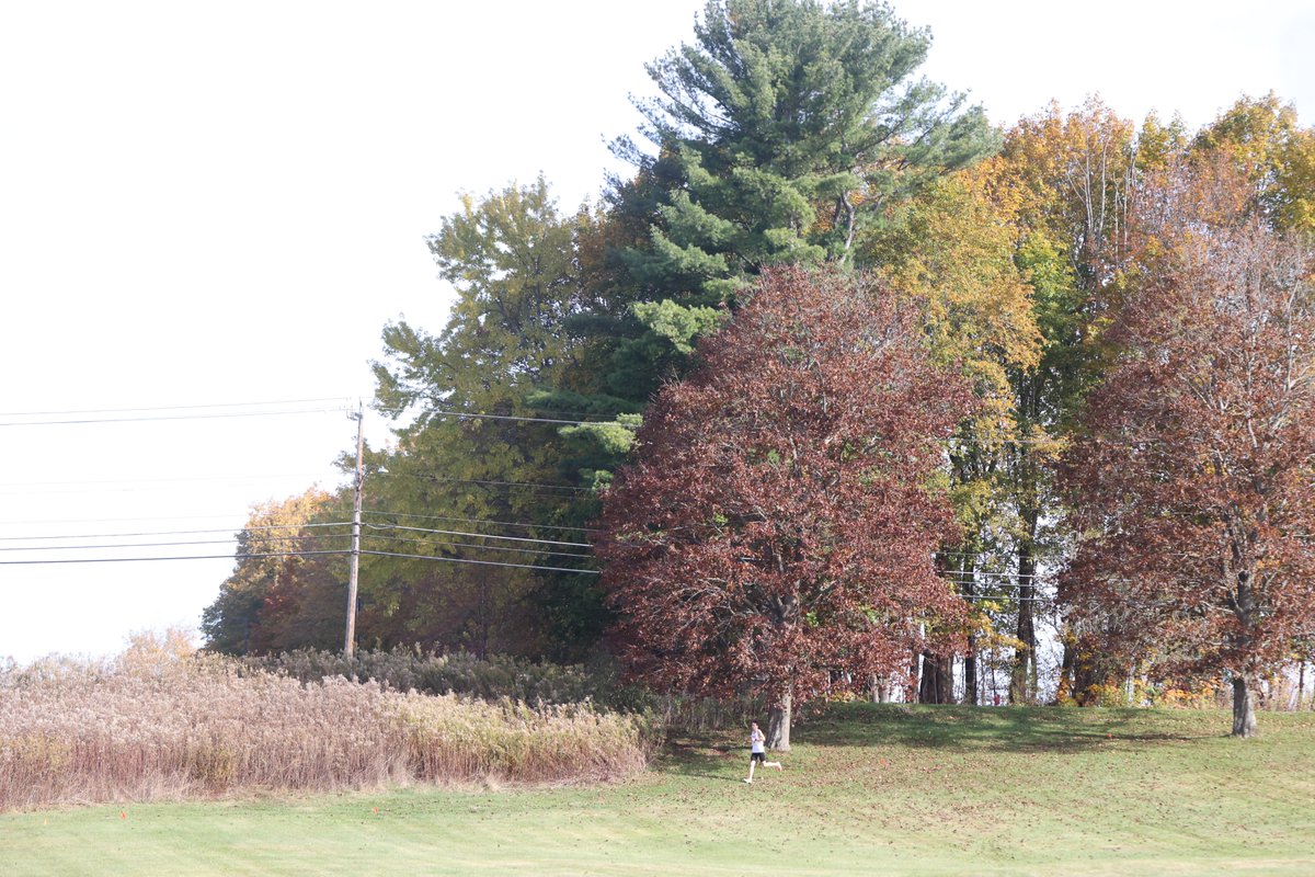 Mike Walsh tweet media