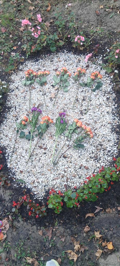 rezava's tweet image. buzzsprout.com/1787163/episod… #chloe