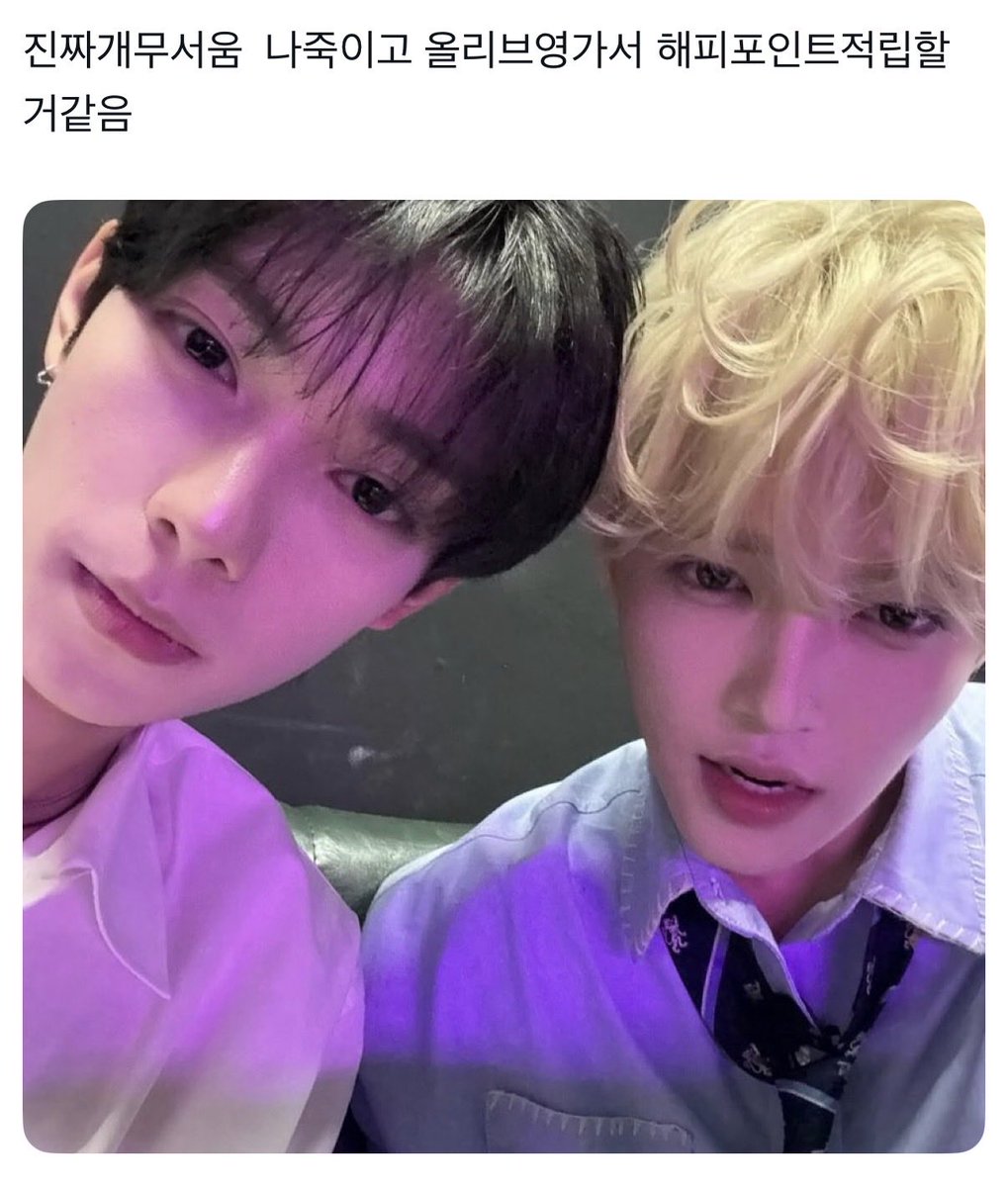 soonkiya's tweet image. 개인적으로 이둘조합진짜재밌게보고있음
갑자기딴소리해서 ㅈㅅ