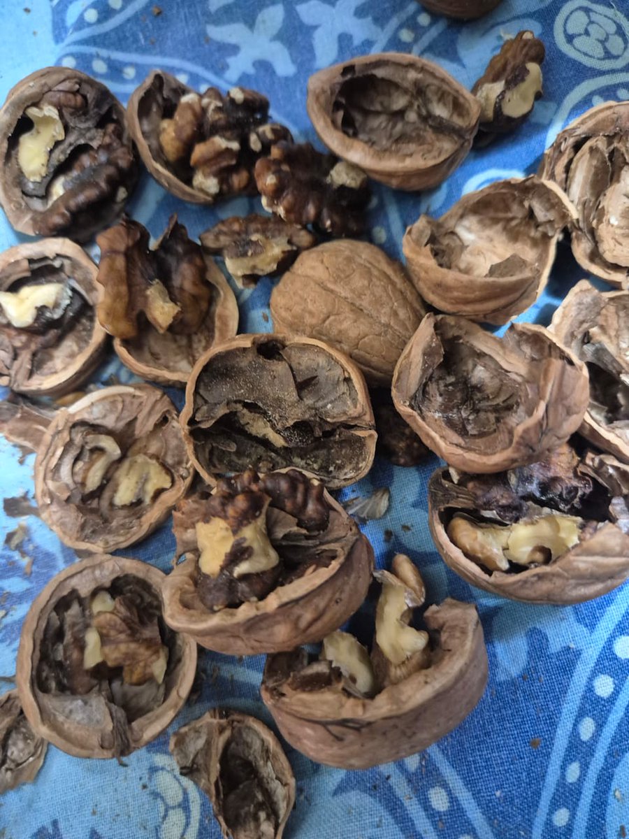 AbhishekguptaEr's tweet image. Looks @amazon is into #repackaging of #expired #products @MoHFW_INDIA @WHO @MOFPI_GOI @amazon @JeffBezos @ajassy