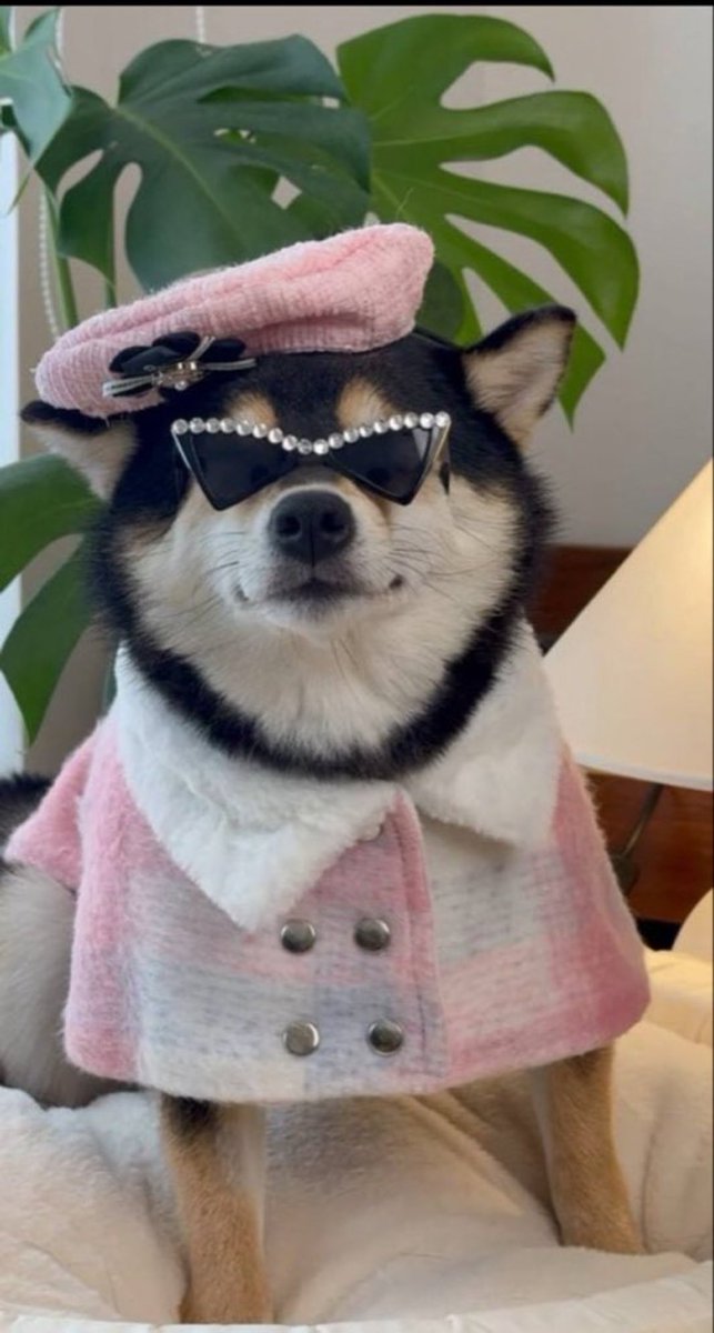 This is your last chance. This is the last week. This is your last entry. In the next 2 weeks some will be given de ja vu. They’ll ask “how could I do this all over again?” 

You faded $PEPE. You missed $SHIB and all of the other runners. Don’t fade $MANYU. This is life or death.