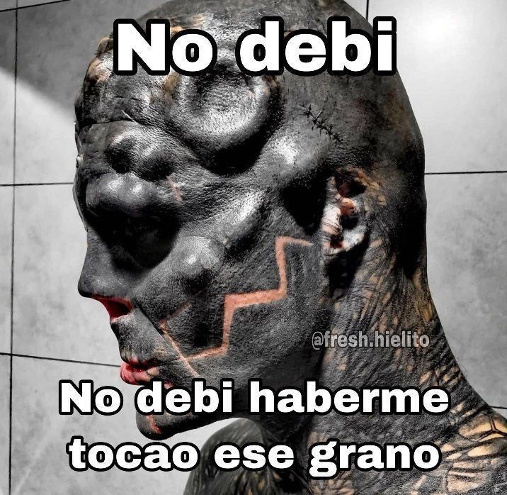 chincheto pirata somali tweet media