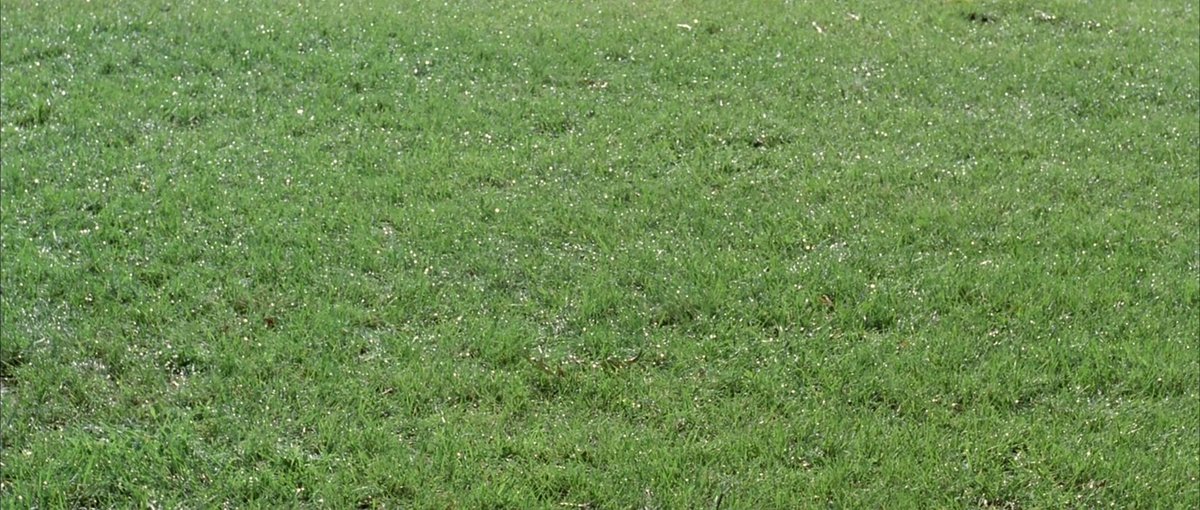 Manhunter (Michael Mann, 1986)