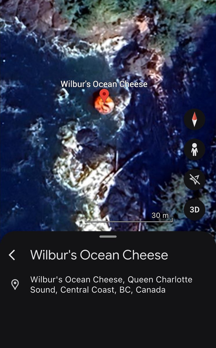 Thank you all for this honor 🙏