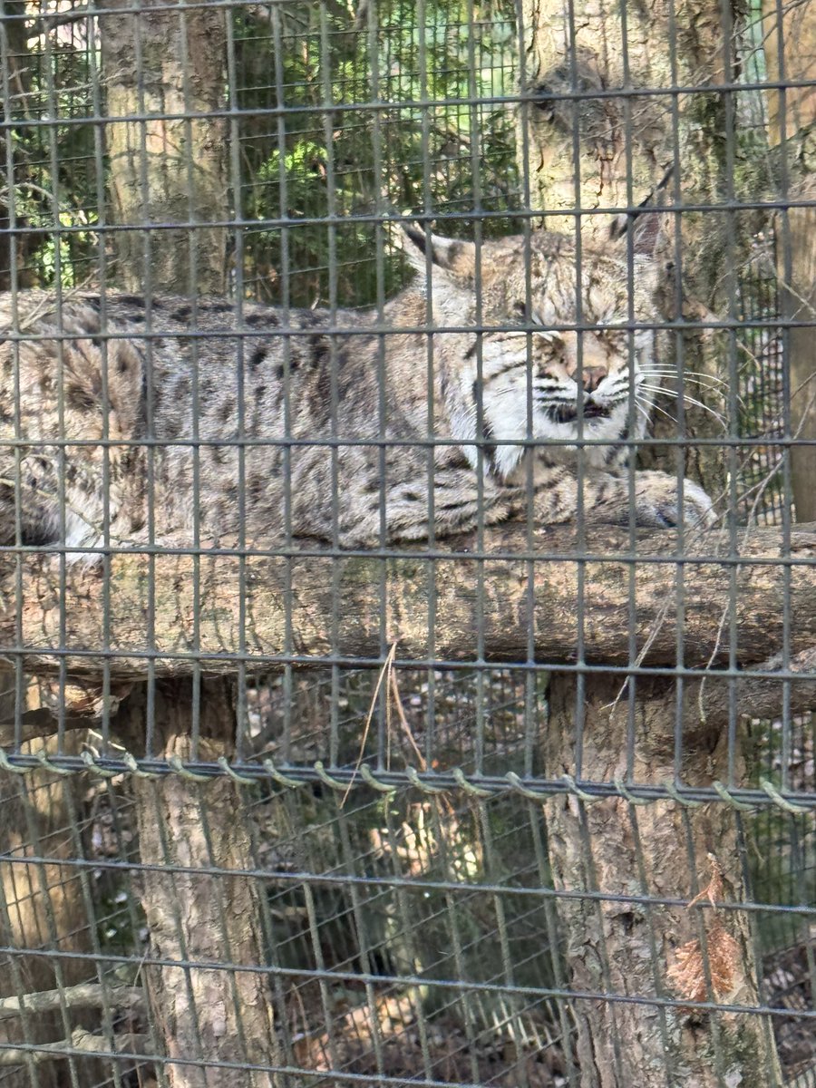 Moravian University Baseball tweet media