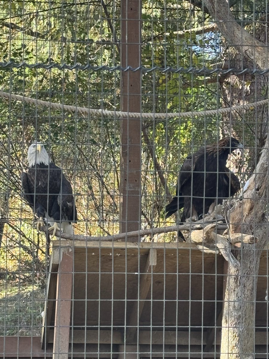 Moravian University Baseball tweet media