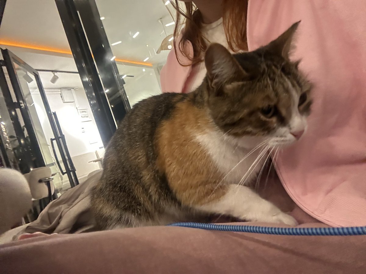 kucak sevdalisi kedyyyy