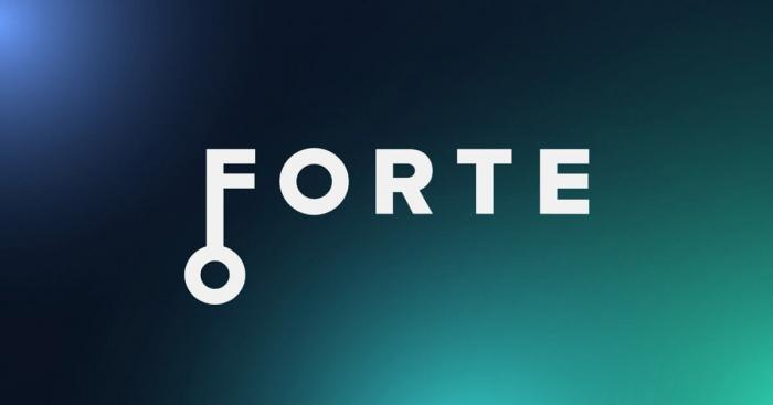mohammadjavah19's tweet image. &quot;Forte Protocol continues to reshape decentralized finance! 🚀 The latest developments hint at faster transactions and deeper liquidity pools. #DeFi #Crypto #forteprotocol