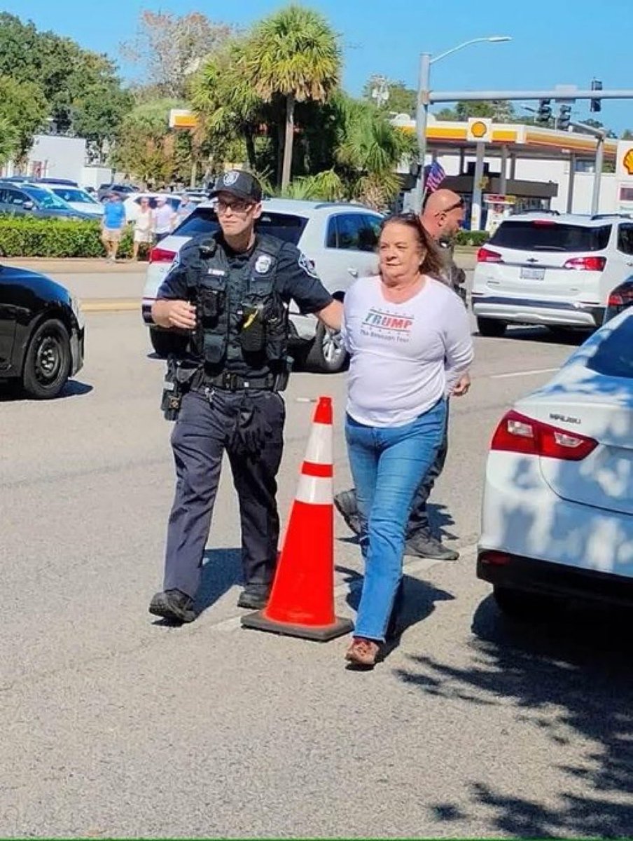 Funny how the only ones getting arrested at the #NoKings rally yesterday were angry magats.