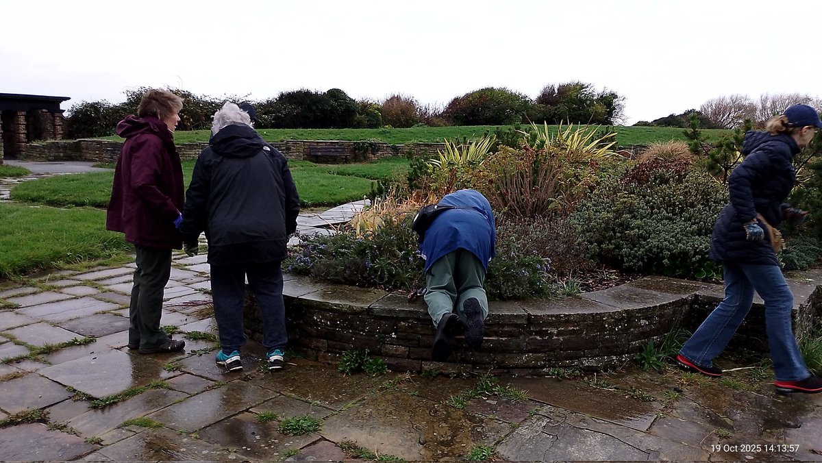 We were half expecting today's gardening session to be rained off - but you can't keep good volunteers down! 
Despite constant and steadily worsening rain, we had 6 hardy volunteers who came  to help.
Well done everyone - hope you've dried out!