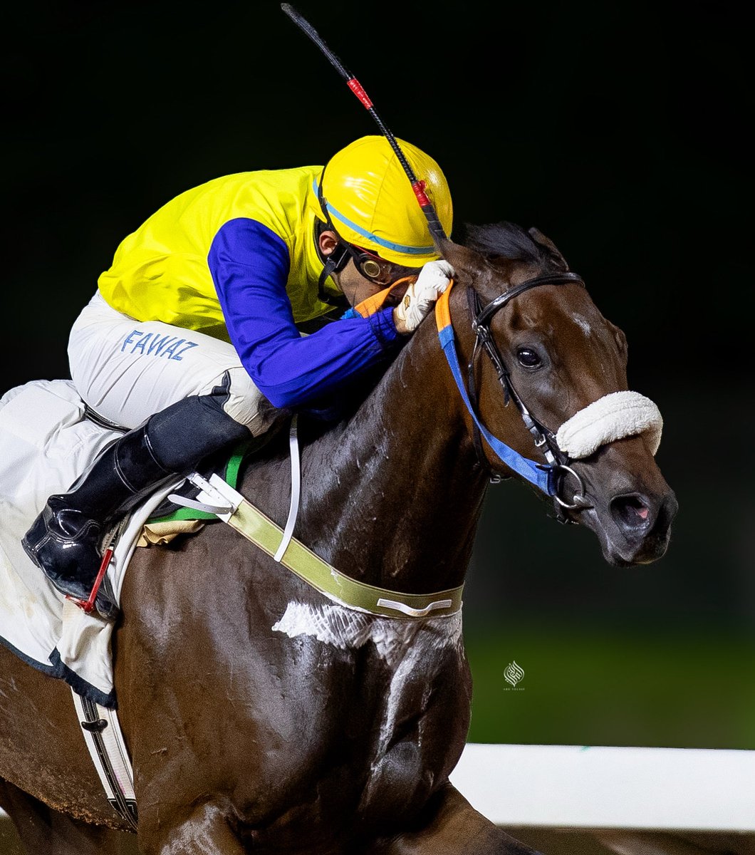 اللهم لك الحمد🥇💛
الفائز : شاغل البال🥇💛
المالك : عبدالعزيز معلا السهلي🥇💛
المدرب : عايش الهذلي🥇💛
<a href="/FrusiyaClub/">نادي سباقات الخيل</a> <a href="/JCSA_Racing/">JCSA</a>