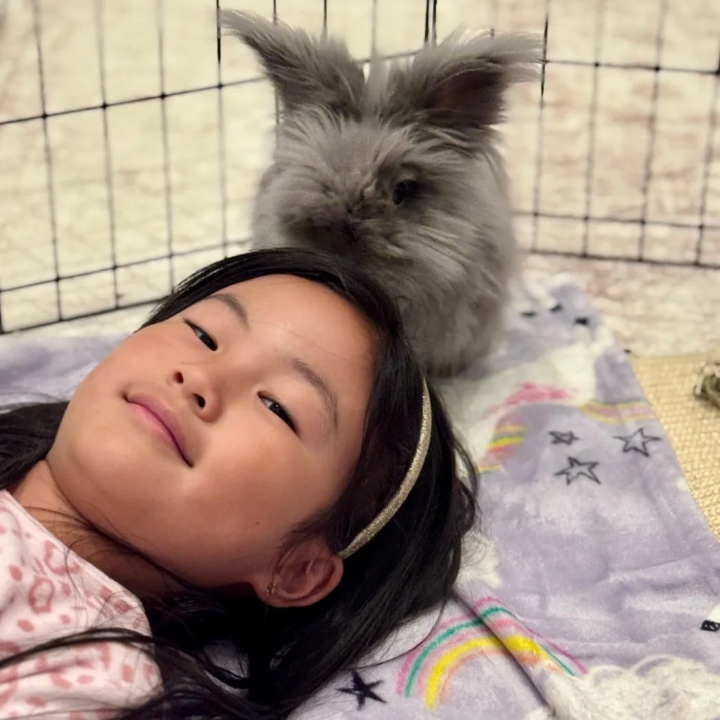 BunnyWorldFoundation tweet media