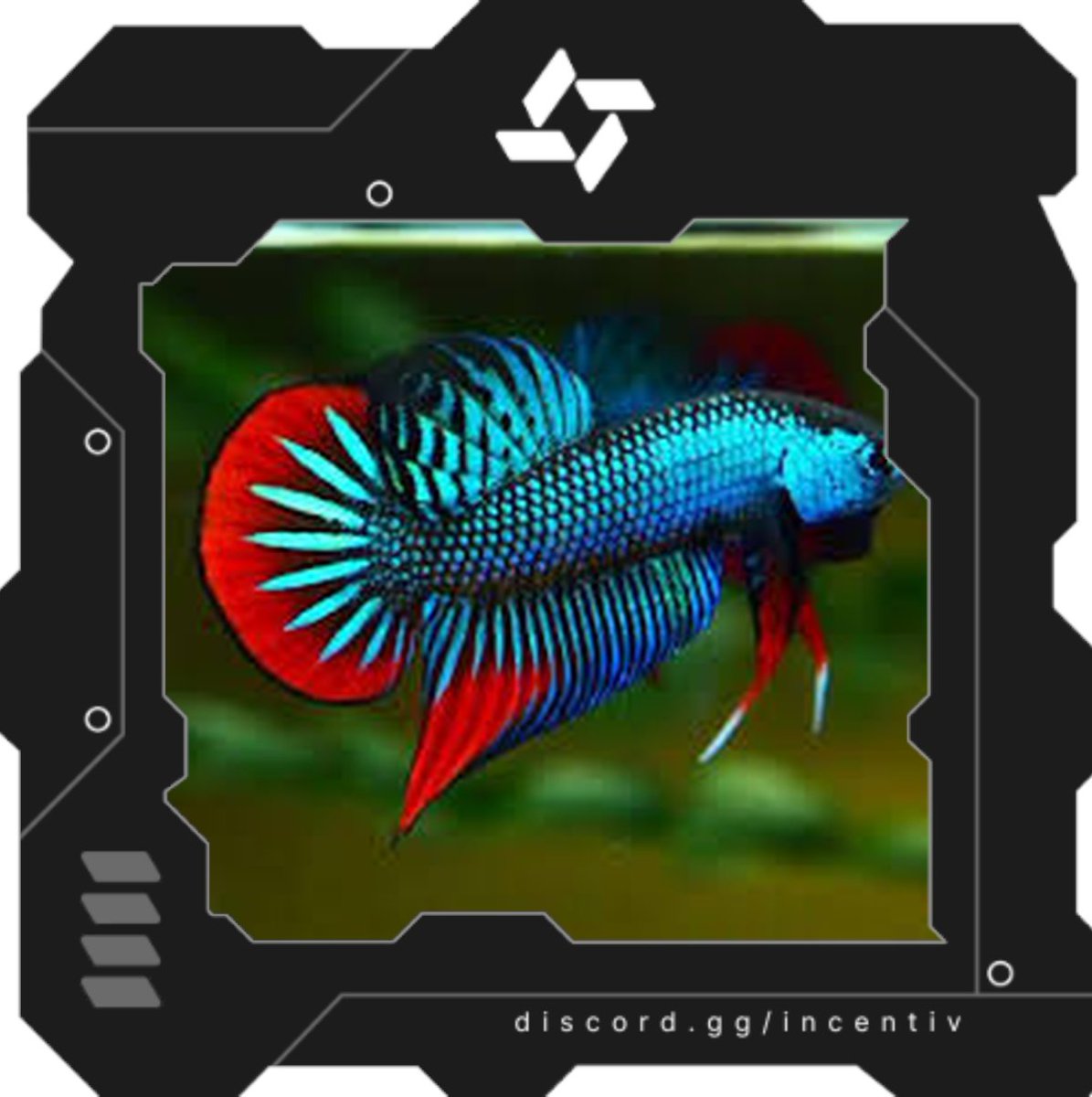 The Incentiv Chip is the marker for those ready for the next phase.

You’ll know why soon enough.

Get yours before it's too late → discord.gg/incentiv