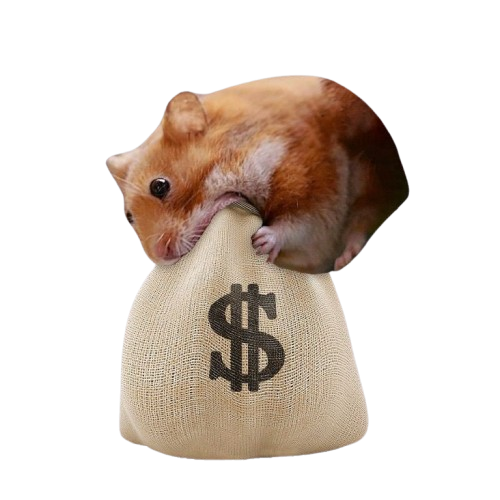 twitersonsSs's tweet photo. @MEXC_Official 🐹🐹🐹🐹🐹
$nomnom :)
Bullish https://t.co/25giouUZ7S