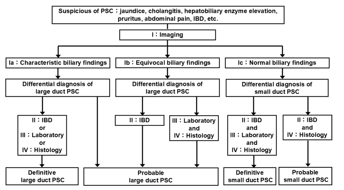 JoseAyonM's tweet photo. 📑The 2024 diagnostic criteria for primary sclerosing cholangitis.

-The past criteria were made only for Large Duct PSC.
-2024 diagnostic criteria are also designed for diagnosing small duct PSC and PSC recurrence following LTx.

https://t.co/PWvcfhZqBN https://t.co/RCErkZPjyk