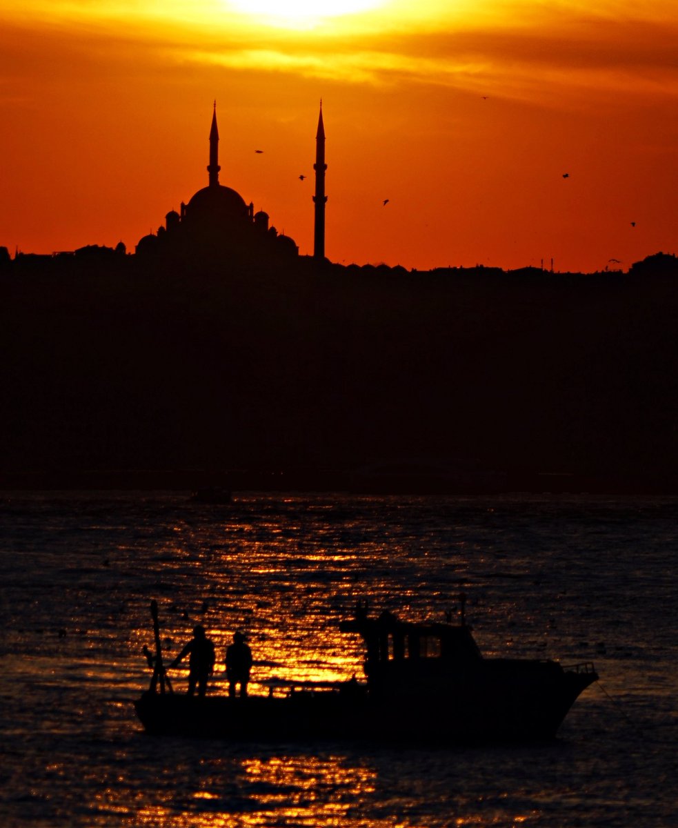 İstanbul Camileri (@camiistan) on Twitter photo 📍Fatih Camii
📷 <a href="/dursun_cicek_dc/">Dursun Çiçek</a> 📍Fatih Camii
📷 <a href="/dursun_cicek_dc/">Dursun Çiçek</a>
