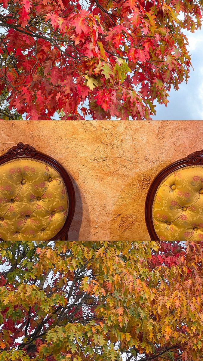S’han casat els Panchos! Quin dia, quina eufòria col·lectiva, que bonic! Una setmana de tardor força lenta per un cap de setmana trepidant. I que visquin les visites de la Juls 🫶🦔☕️🍂🪾