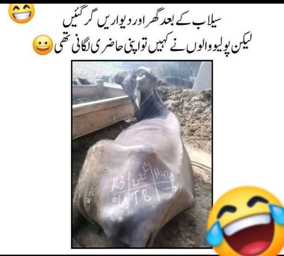 پولیو ٹیم ہمیشہ زندہ باد 
.
.