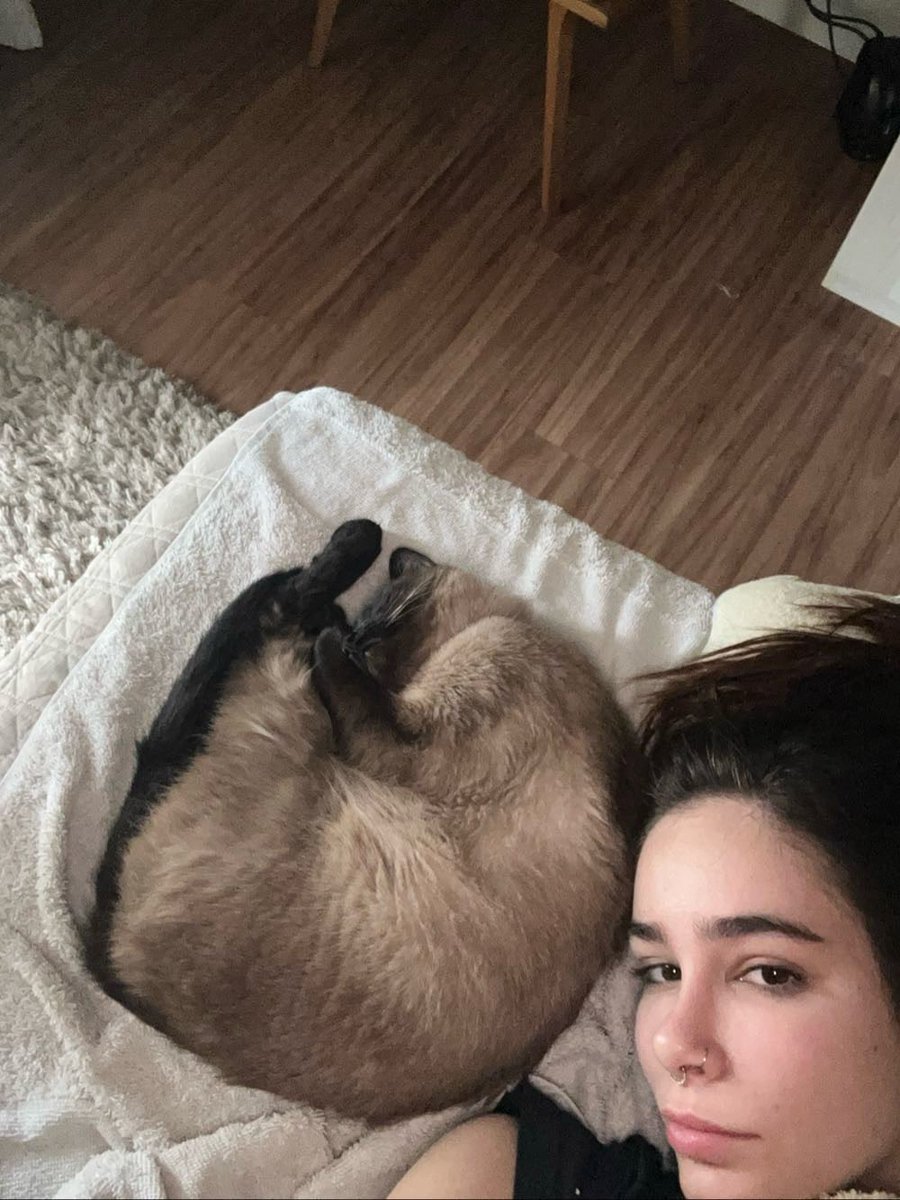 lbbazeio's tweet photo. você nunca estará mais cansada do que um gatinho que não fez nada o dia inteiro https://t.co/vHbyseqEK3