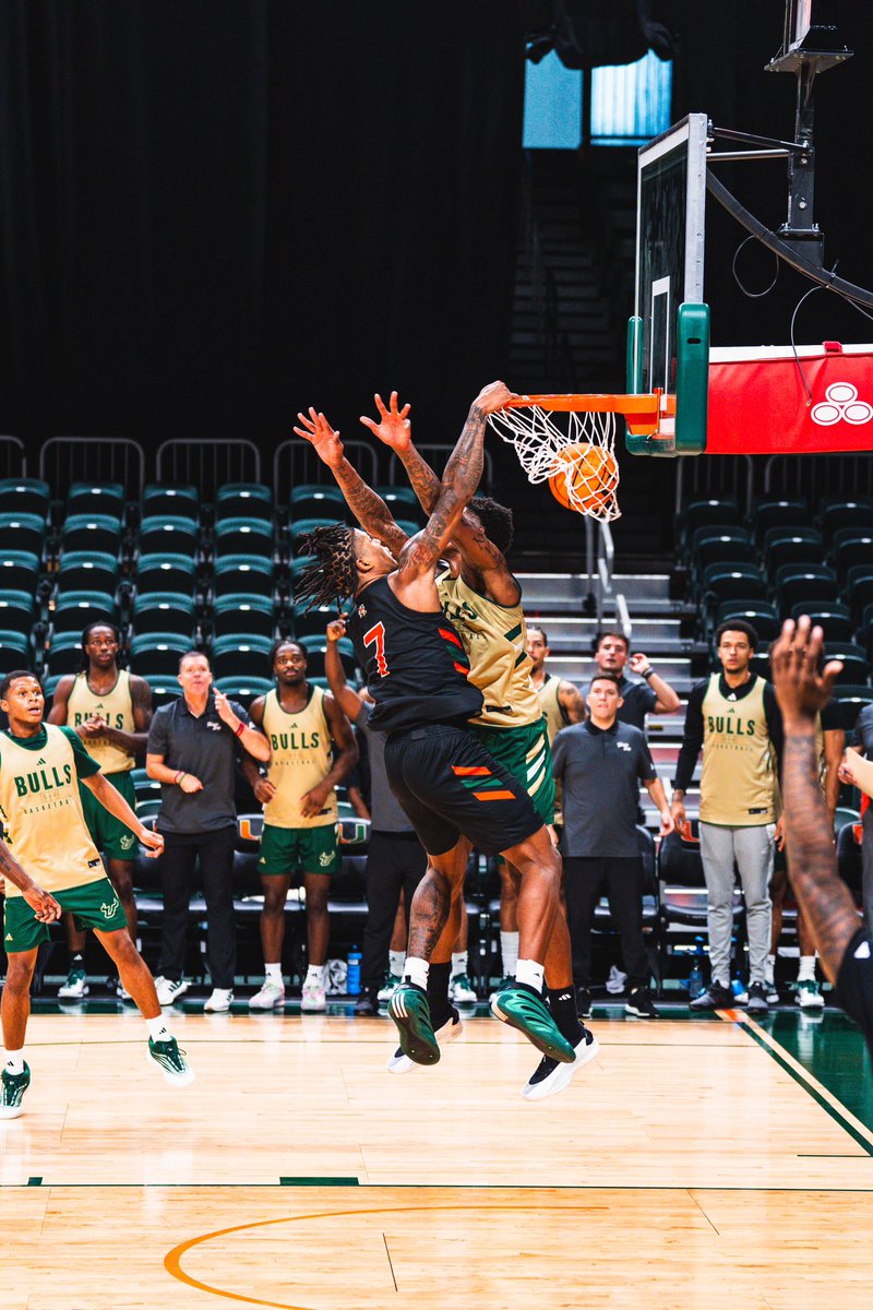 CanesHoops's tweet photo. Reps in the 305 ‼️🤝 https://t.co/aaXCnLWNos