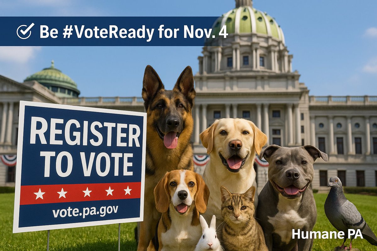 HumanePA's tweet photo. DEADLINE TO REGISTER IS TOMORROW - OCT 20! Animals can’t speak for themselves—but we can. Every election is a chance to stand up for compassion and accountability in Harrisburg. Be part of Pennsylvania’s growing pro-animal vote: https://t.co/lt4T8L3oUg #HumanePA #StandAgainstAnimalCruelty