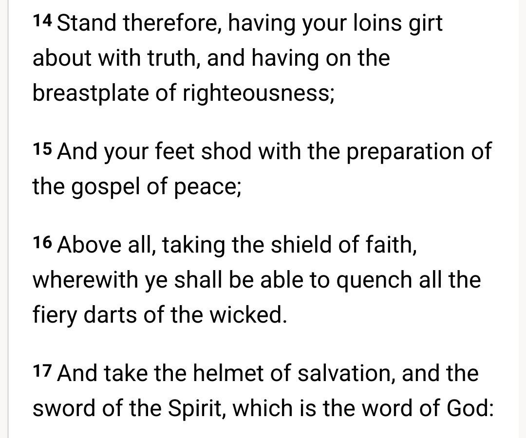 Cafe Primavera tweet media