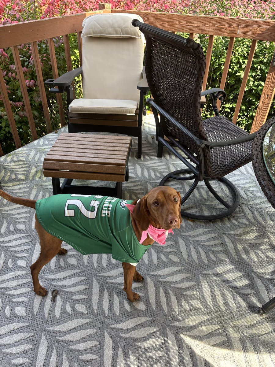 Kelce has her <a href="/JasonKelce/">Jason Kelce</a> gear on for Birds game on deck.  #GoBirds