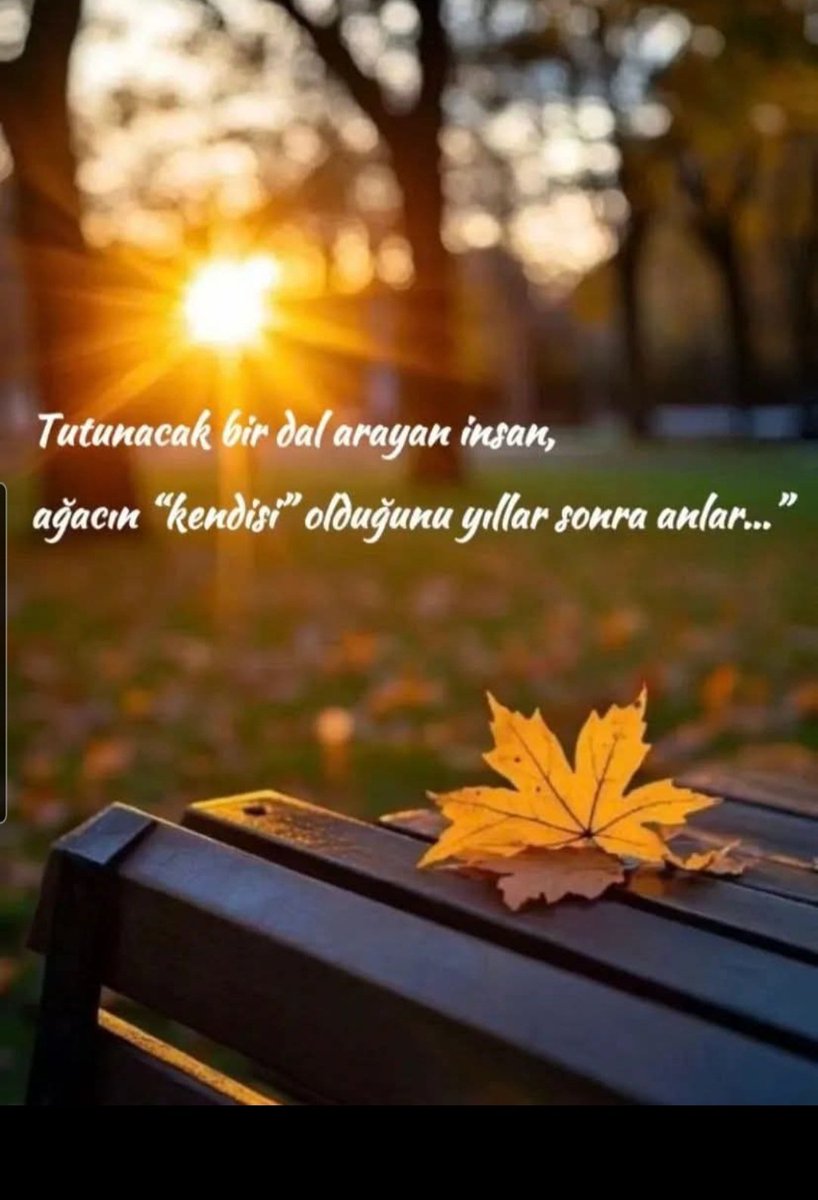 Ramo424242 (@ihsan9811) on Twitter photo 